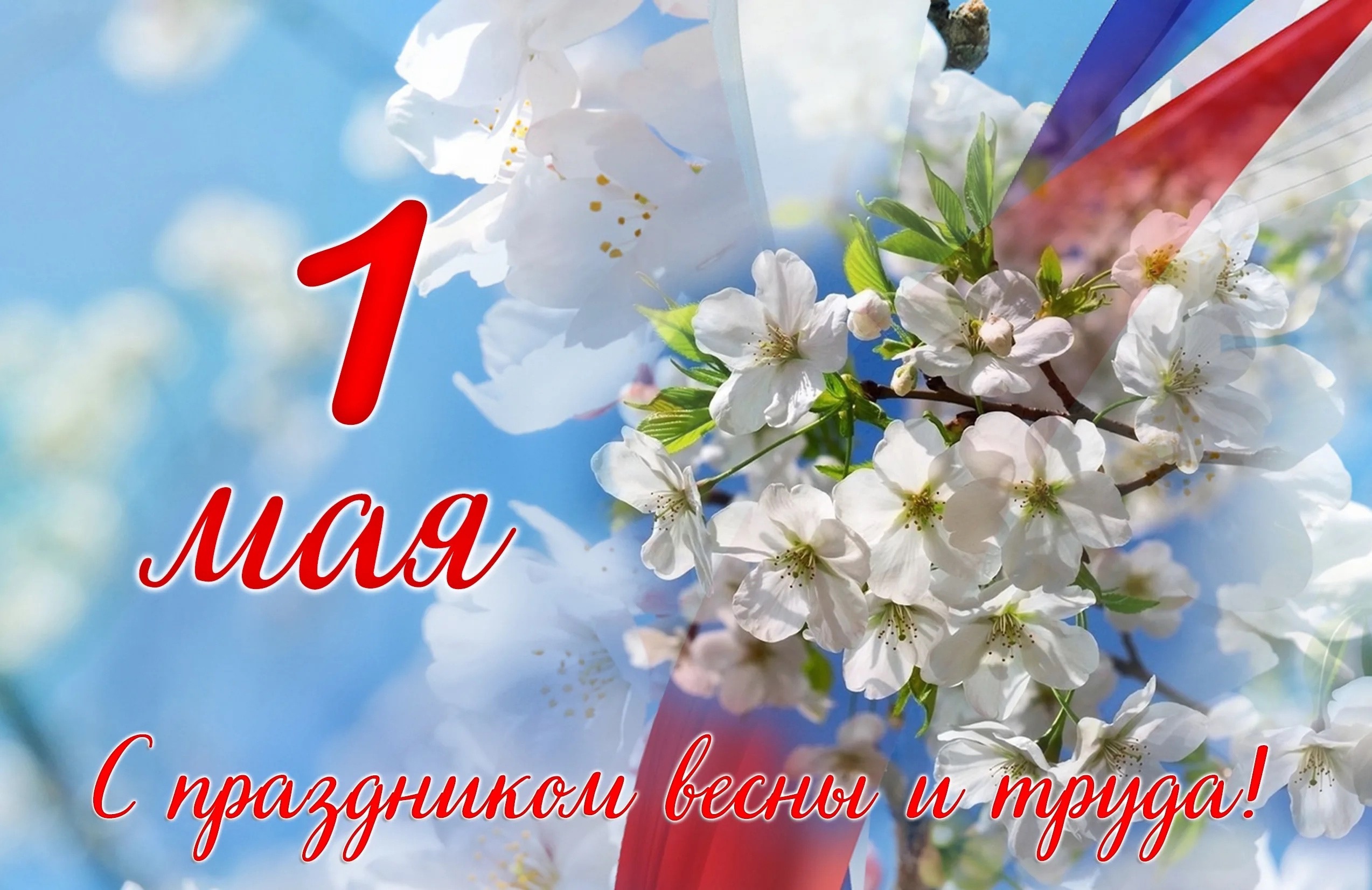 весенний конкурс