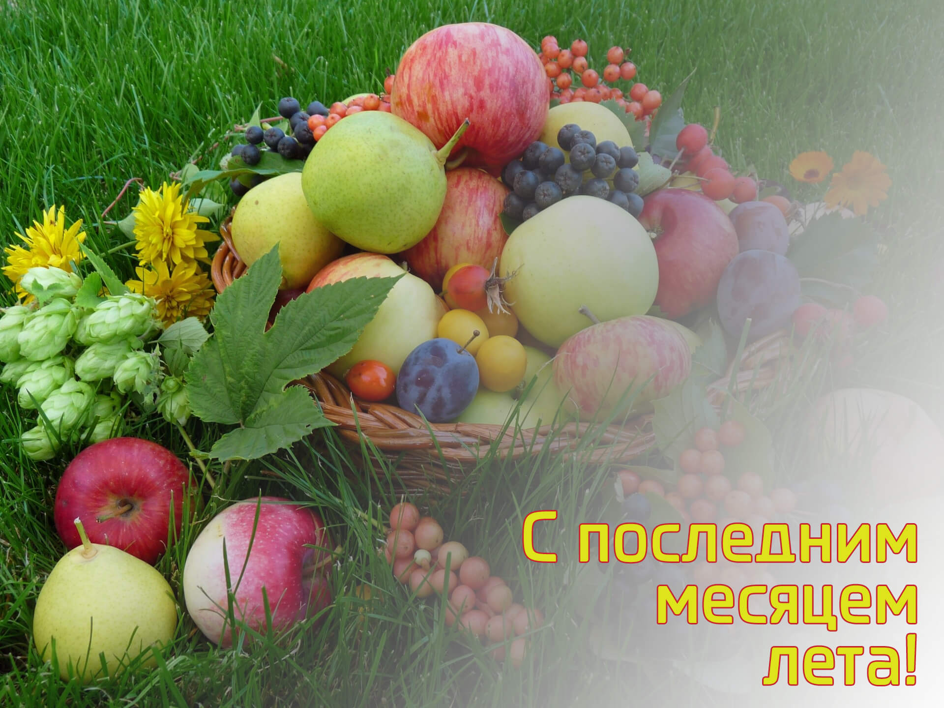 летний конкурс